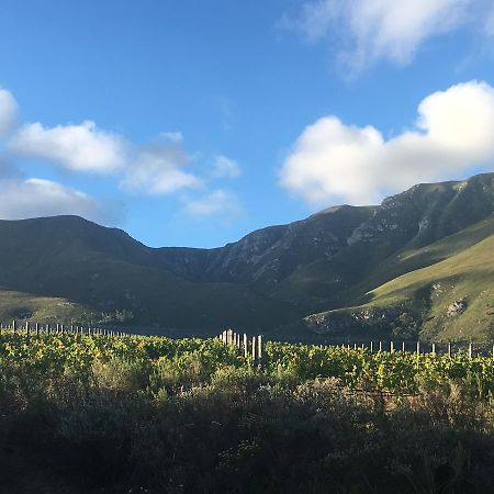 Misty Mountains Villa Hermanus Buitenkant foto