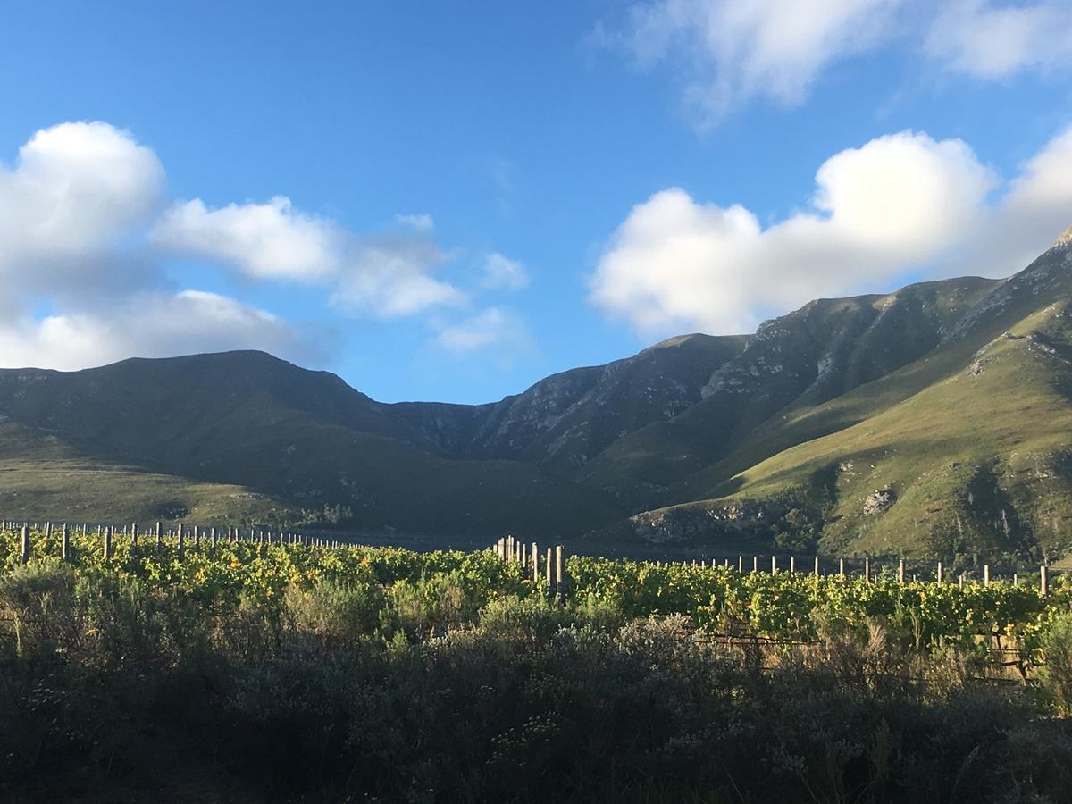 Misty Mountains Villa Hermanus Buitenkant foto