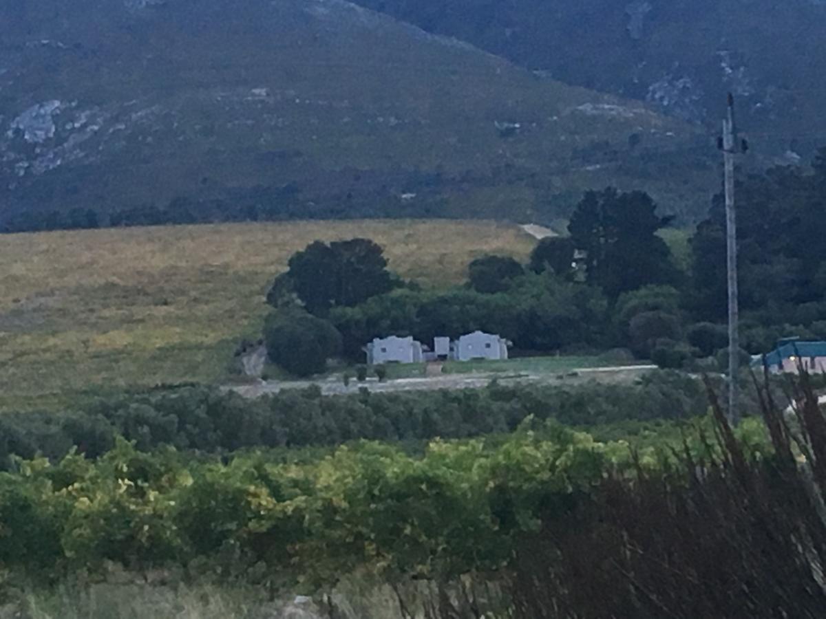 Misty Mountains Villa Hermanus Buitenkant foto