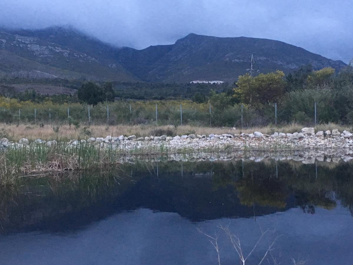Misty Mountains Villa Hermanus Buitenkant foto